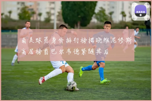 南美球员身价排行榜揭晓维尼修斯高居榜首巴尔韦德紧随其后