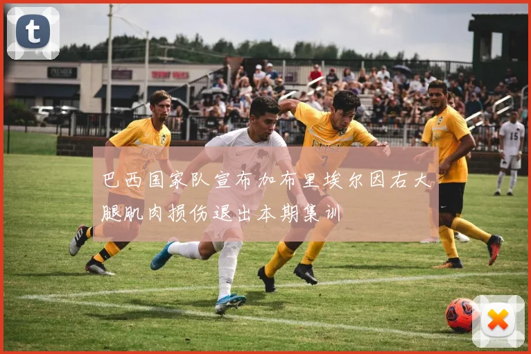 巴西国家队宣布加布里埃尔因右大腿肌肉损伤退出本期集训